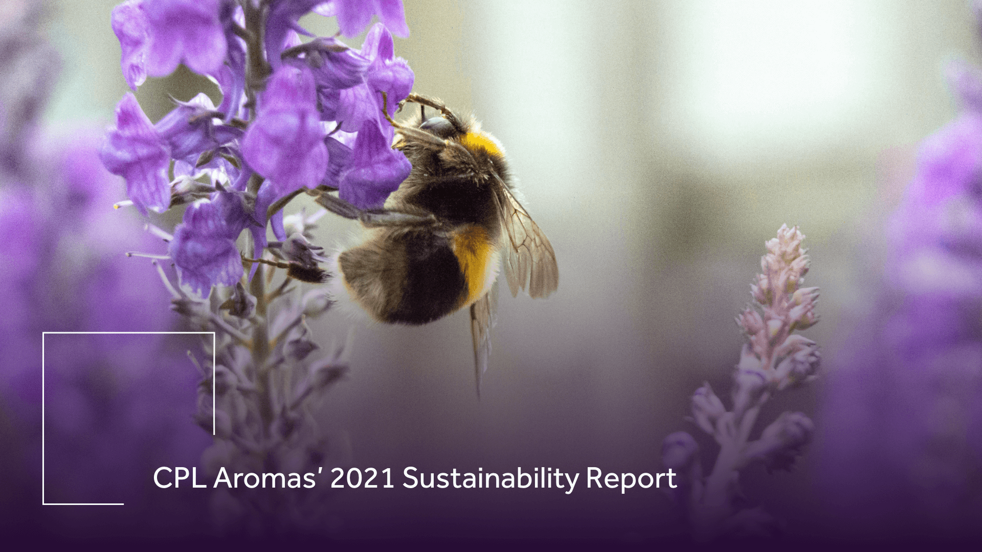 CPL Aromas' 2021 sustainability report