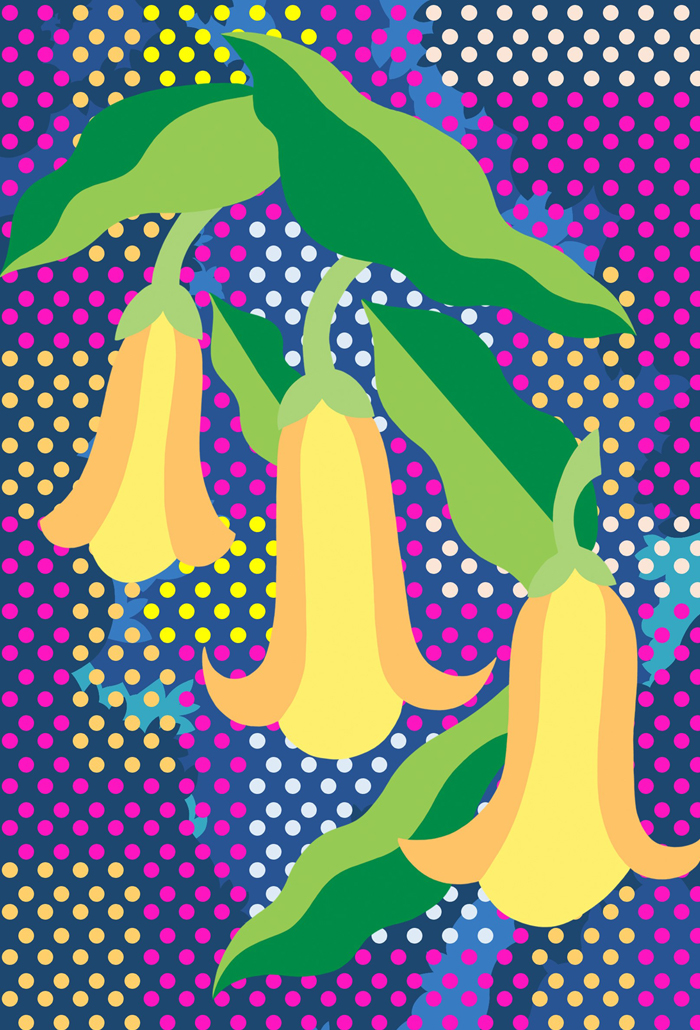 Yellow Datura on a patterned background