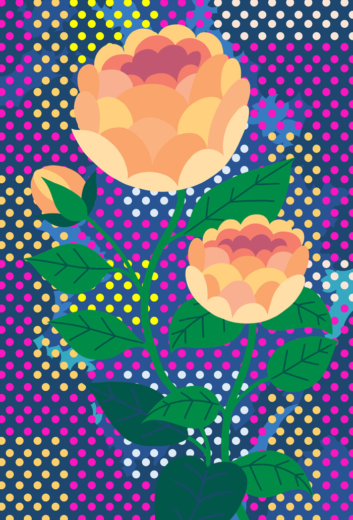 English rose with a patterned background