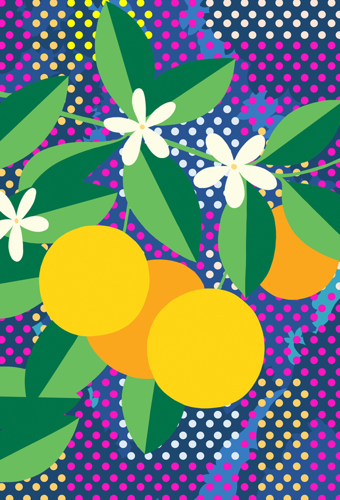 Orange Calamondin with a  patterned background