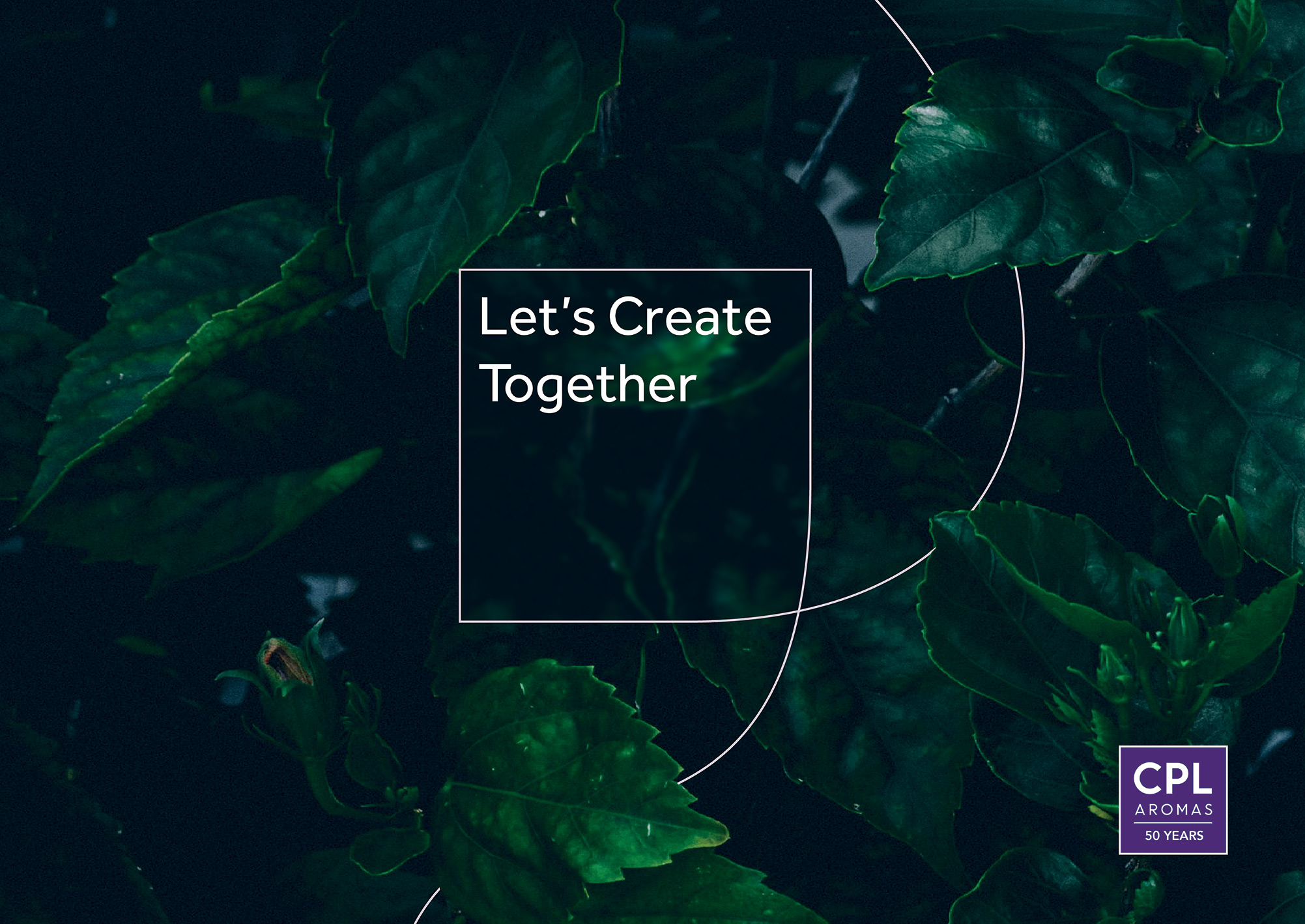 Let's create together