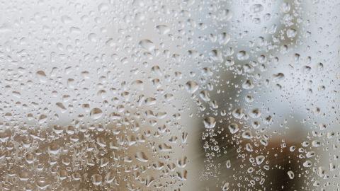 Water droplets Water droplets